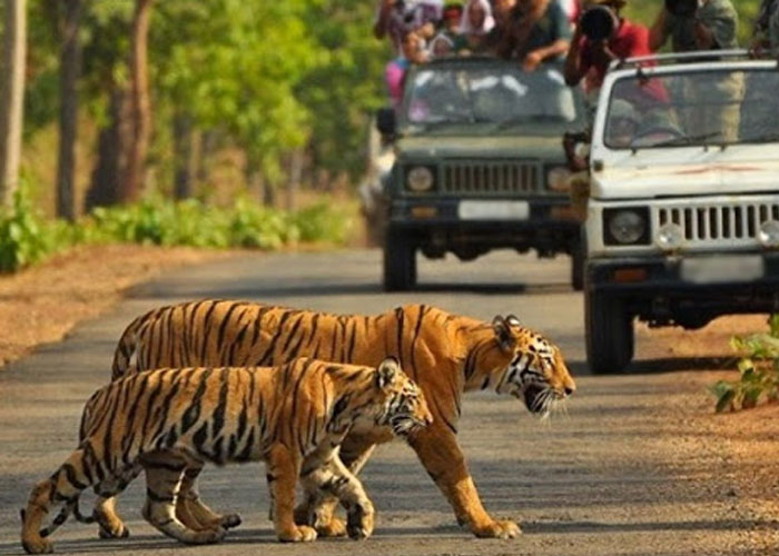 Corbett Packages