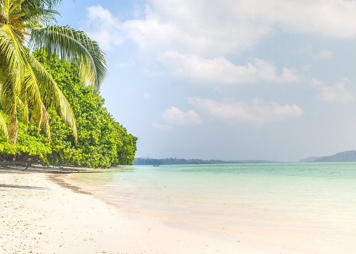 Andaman Package